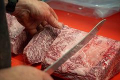 DSC08279-Enhanced-NR