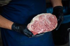 DSC08305-Enhanced-NR